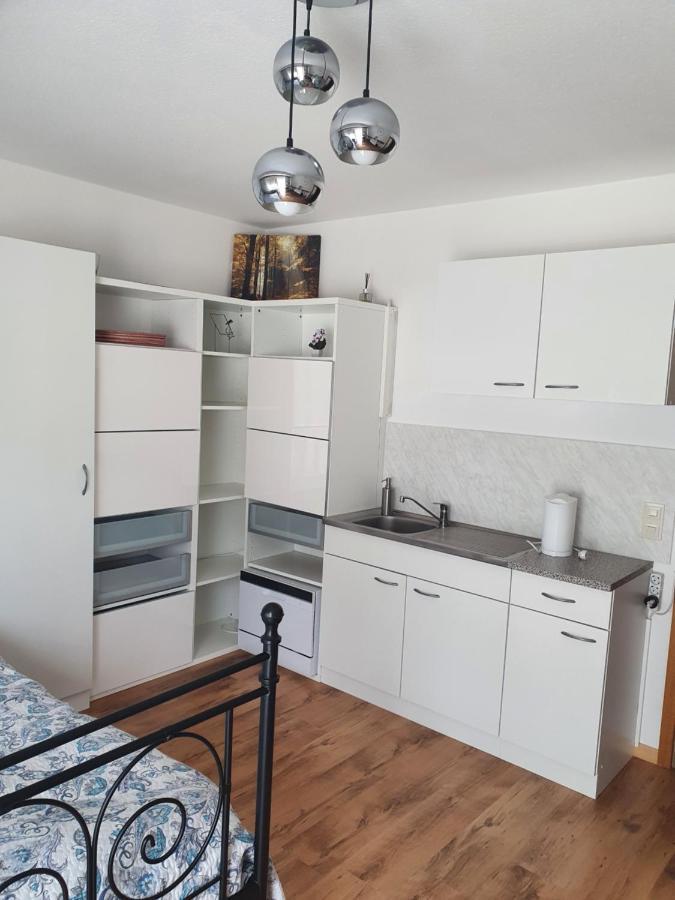 Haus Am Scheibenfelsen Apartment St. Blasien Luaran gambar