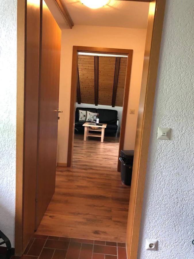 Haus Am Scheibenfelsen Apartment St. Blasien Luaran gambar
