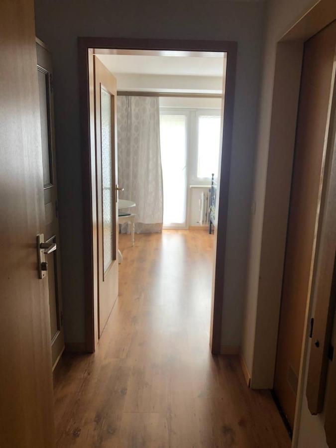 Haus Am Scheibenfelsen Apartment St. Blasien Luaran gambar