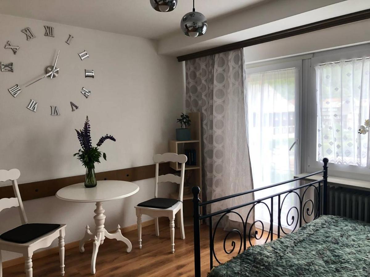 Haus Am Scheibenfelsen Apartment St. Blasien Luaran gambar