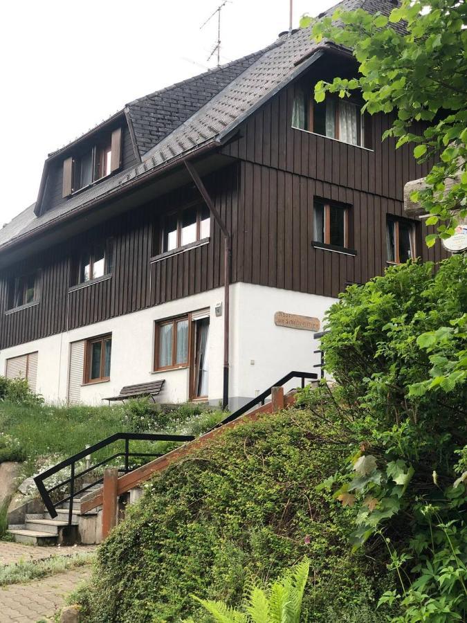 Haus Am Scheibenfelsen Apartment St. Blasien Luaran gambar