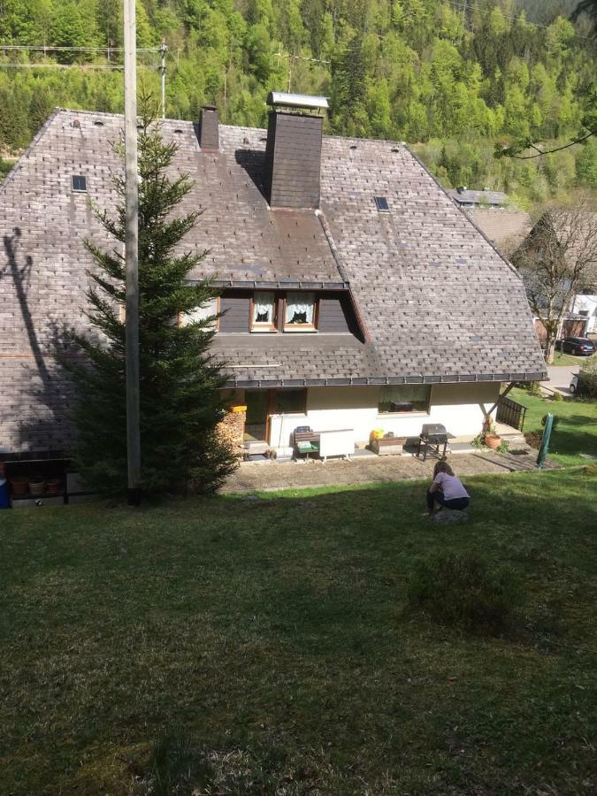 Haus Am Scheibenfelsen Apartment St. Blasien Luaran gambar